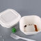 Biodegradable жиронепроницаемые пищевые контейнеры пульпы багассы