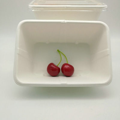 Устранимые Biodegradable Microwavable подносы еды сахарного тростника