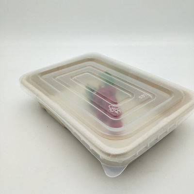 Устранимые Biodegradable Microwavable подносы еды сахарного тростника