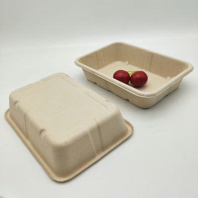 Устранимые Biodegradable Microwavable подносы еды сахарного тростника